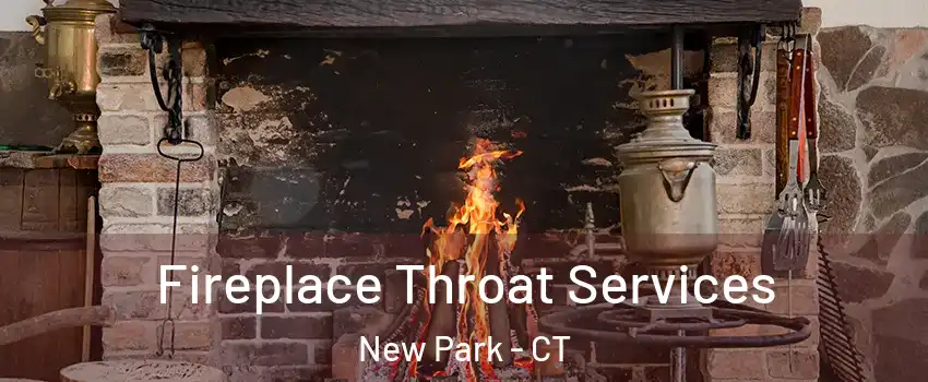 Fireplace Throat Services New Park - CT