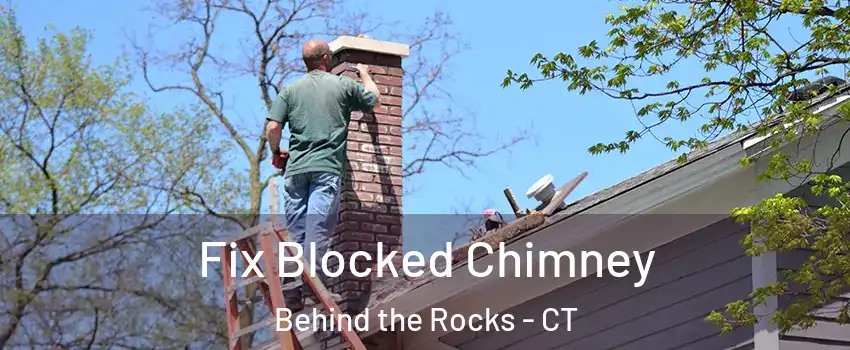 Fix Blocked Chimney Behind the Rocks - CT