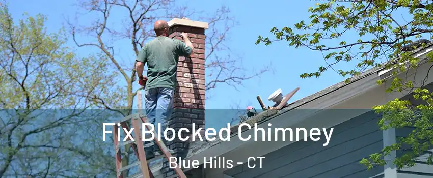 Fix Blocked Chimney Blue Hills - CT