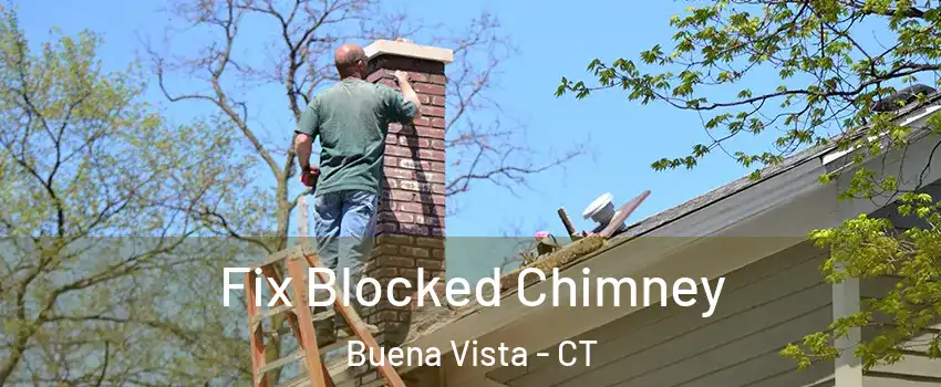 Fix Blocked Chimney Buena Vista - CT