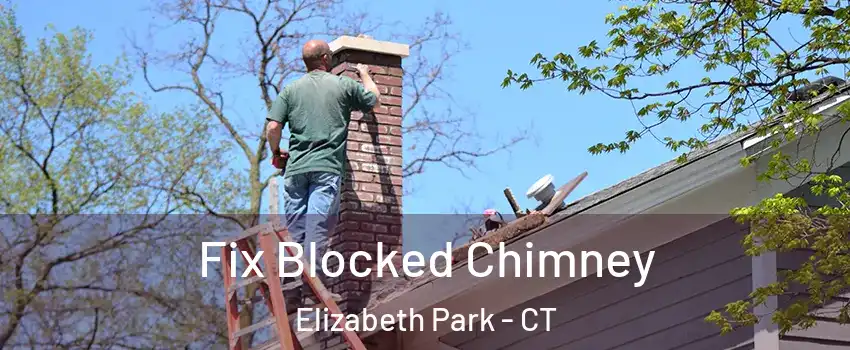 Fix Blocked Chimney Elizabeth Park - CT