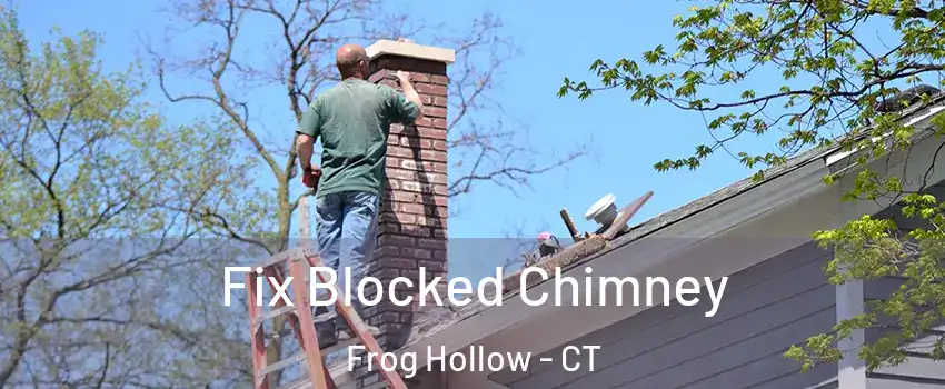 Fix Blocked Chimney Frog Hollow - CT