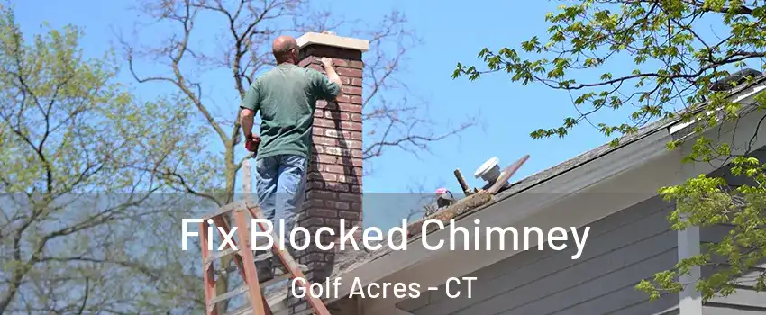 Fix Blocked Chimney Golf Acres - CT