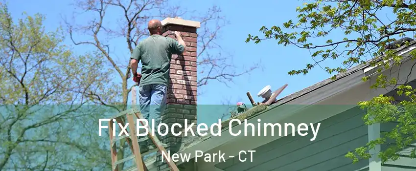Fix Blocked Chimney New Park - CT