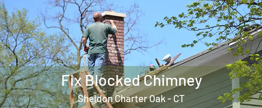 Fix Blocked Chimney Sheldon Charter Oak - CT