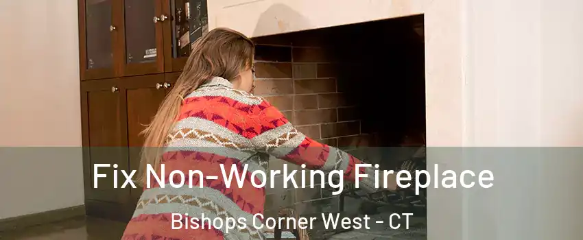 Fix Non-Working Fireplace Bishops Corner West - CT