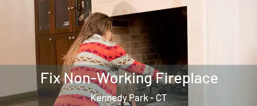 Fix Non-Working Fireplace Kennedy Park - CT