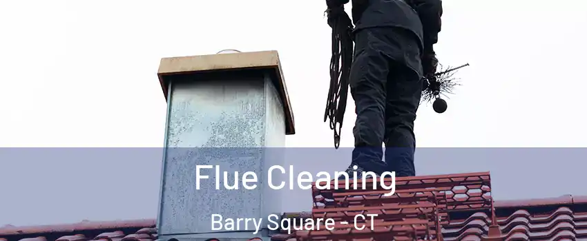 Flue Cleaning Barry Square - CT
