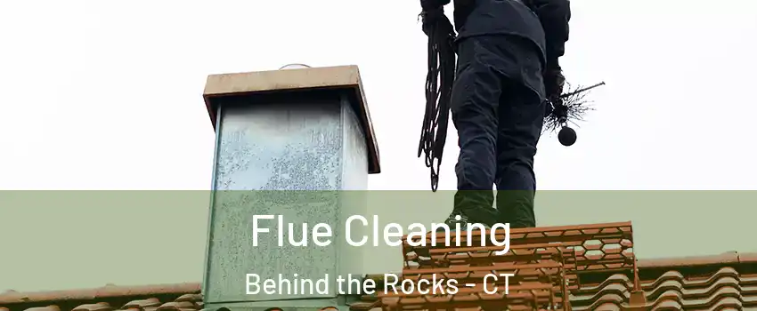 Flue Cleaning Behind the Rocks - CT