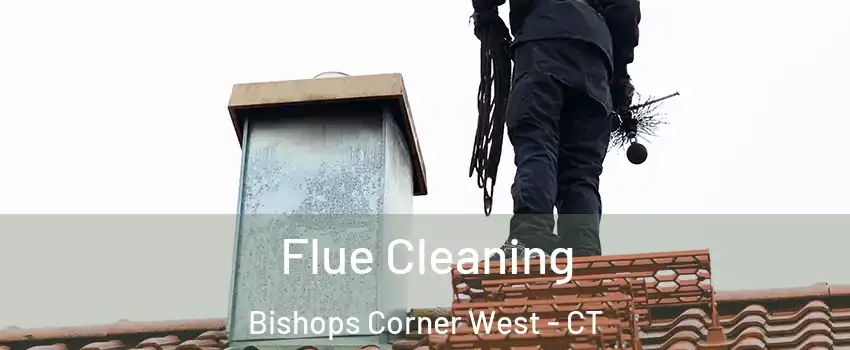 Flue Cleaning Bishops Corner West - CT