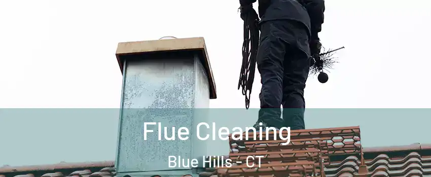 Flue Cleaning Blue Hills - CT