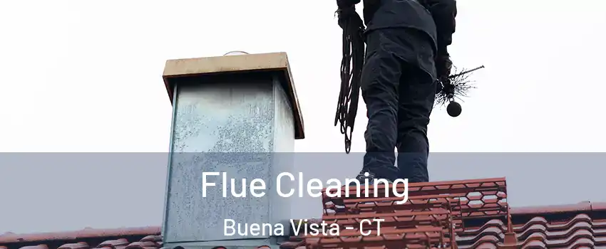 Flue Cleaning Buena Vista - CT