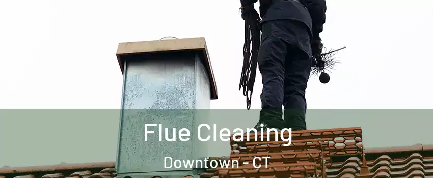 Flue Cleaning Downtown - CT