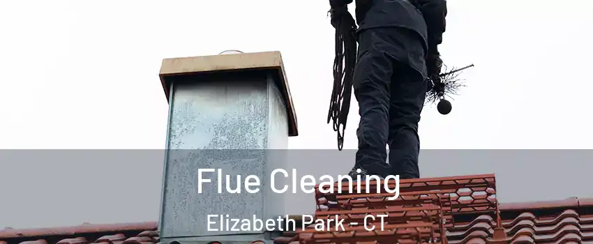 Flue Cleaning Elizabeth Park - CT