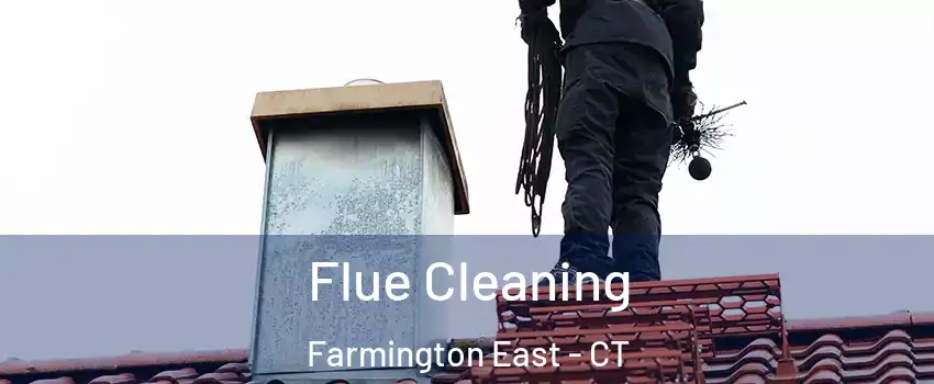 Flue Cleaning Farmington East - CT