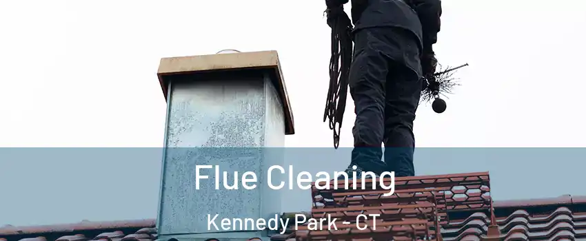 Flue Cleaning Kennedy Park - CT