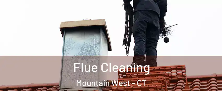 Flue Cleaning Mountain West - CT