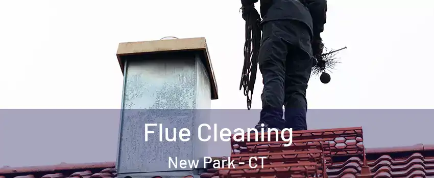 Flue Cleaning New Park - CT