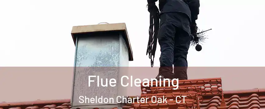 Flue Cleaning Sheldon Charter Oak - CT