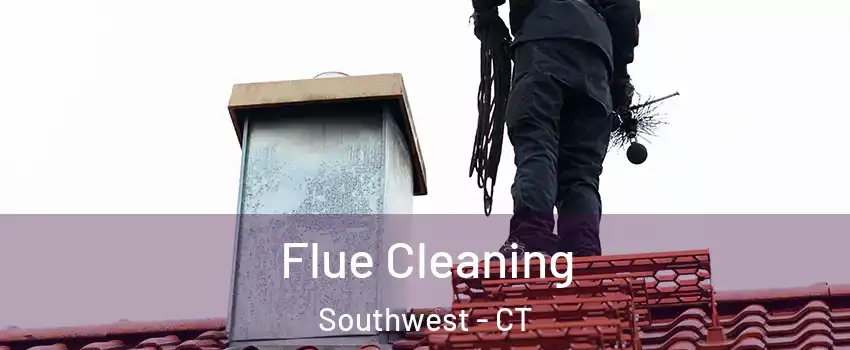Flue Cleaning Southwest - CT