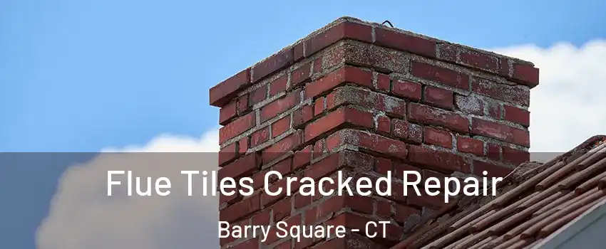 Flue Tiles Cracked Repair Barry Square - CT