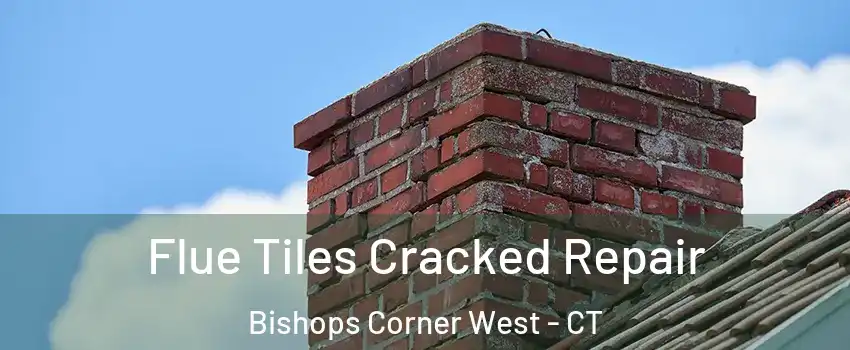 Flue Tiles Cracked Repair Bishops Corner West - CT