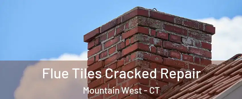 Flue Tiles Cracked Repair Mountain West - CT