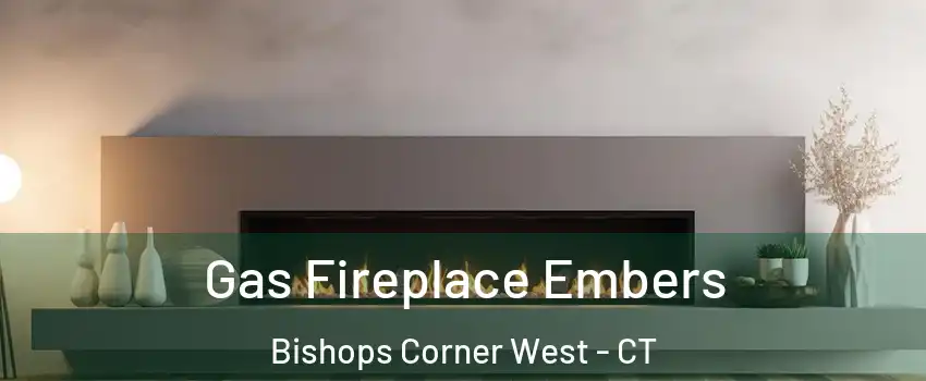 Gas Fireplace Embers Bishops Corner West - CT