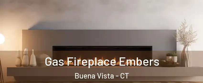Gas Fireplace Embers Buena Vista - CT