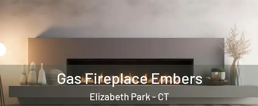 Gas Fireplace Embers Elizabeth Park - CT