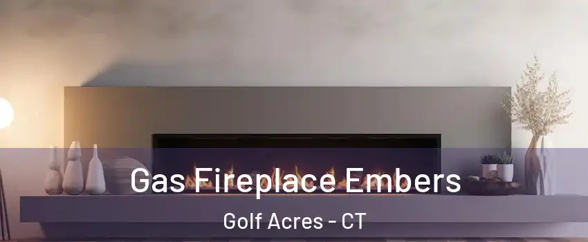 Gas Fireplace Embers Golf Acres - CT