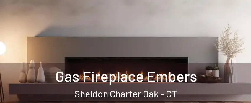 Gas Fireplace Embers Sheldon Charter Oak - CT