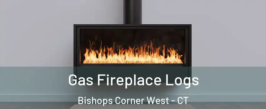Gas Fireplace Logs Bishops Corner West - CT