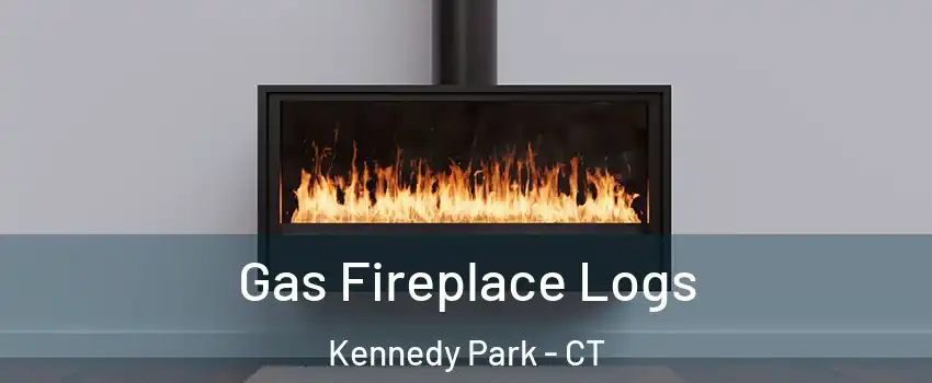 Gas Fireplace Logs Kennedy Park - CT