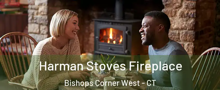 Harman Stoves Fireplace Bishops Corner West - CT