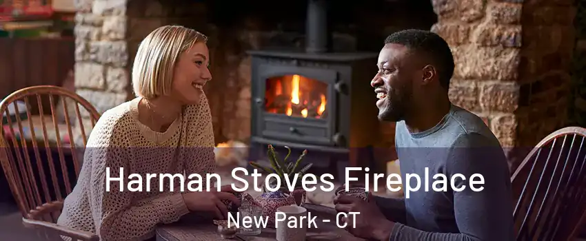 Harman Stoves Fireplace New Park - CT
