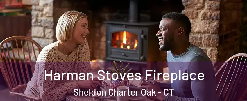 Harman Stoves Fireplace Sheldon Charter Oak - CT