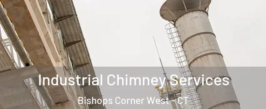 Industrial Chimney Services Bishops Corner West - CT