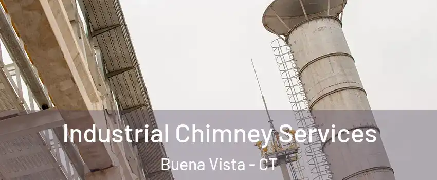 Industrial Chimney Services Buena Vista - CT