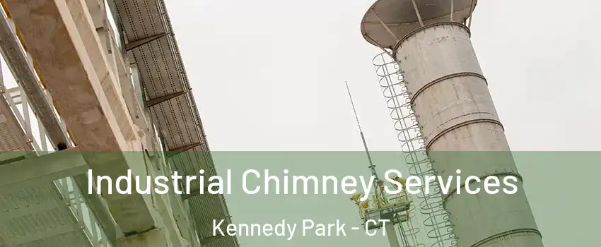 Industrial Chimney Services Kennedy Park - CT
