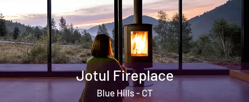 Jotul Fireplace Blue Hills - CT