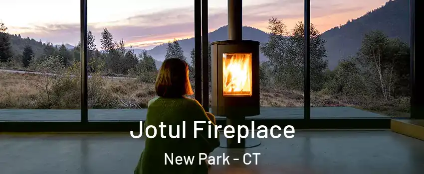 Jotul Fireplace New Park - CT