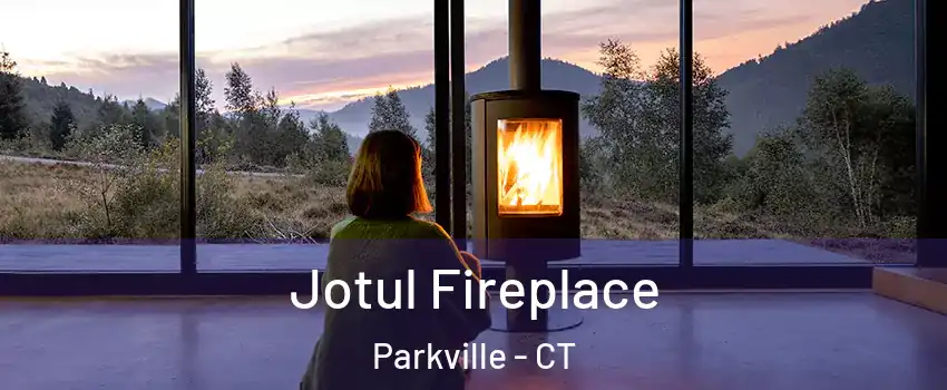 Jotul Fireplace Parkville - CT