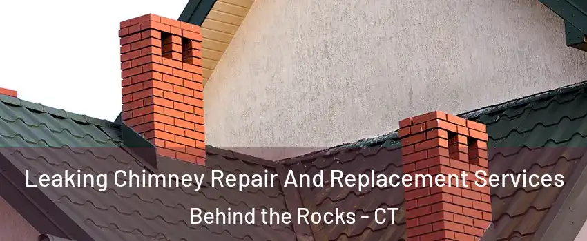 Leaking Chimney Repair And Replacement Services Behind the Rocks - CT