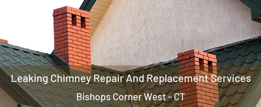 Leaking Chimney Repair And Replacement Services Bishops Corner West - CT