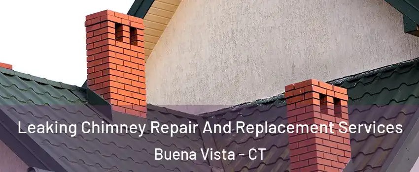 Leaking Chimney Repair And Replacement Services Buena Vista - CT