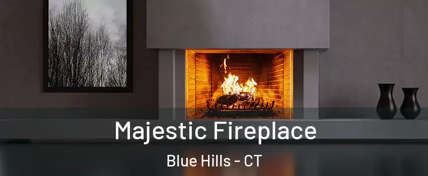 Majestic Fireplace Blue Hills - CT