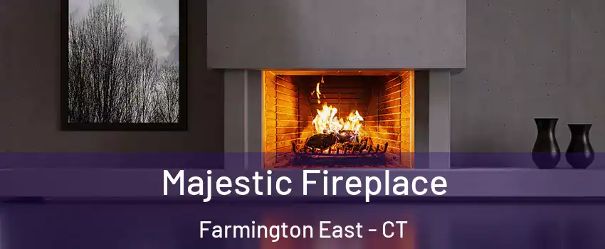 Majestic Fireplace Farmington East - CT