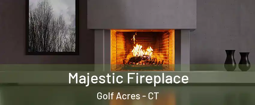 Majestic Fireplace Golf Acres - CT