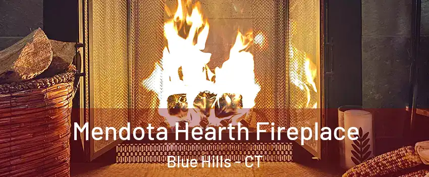 Mendota Hearth Fireplace Blue Hills - CT